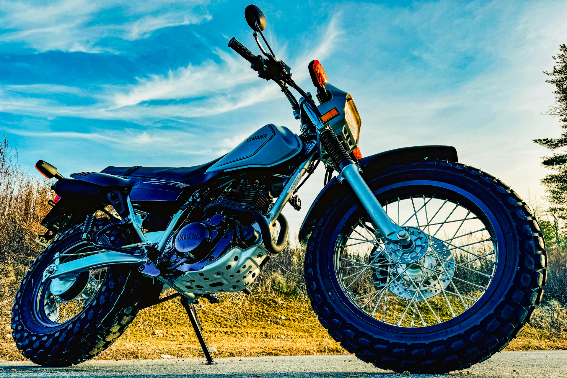 2025 Yamaha TW200 in Topsham, Maine - Photo 15