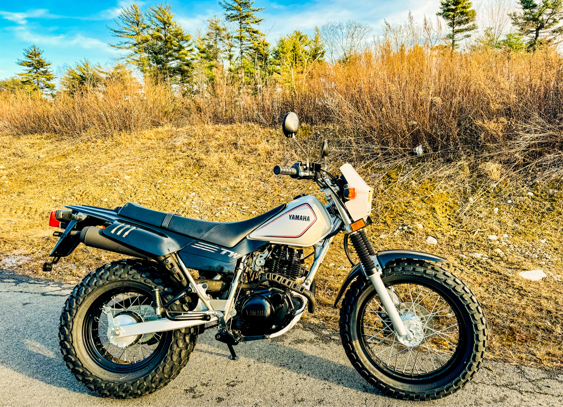 2025 Yamaha TW200 in Topsham, Maine - Photo 24