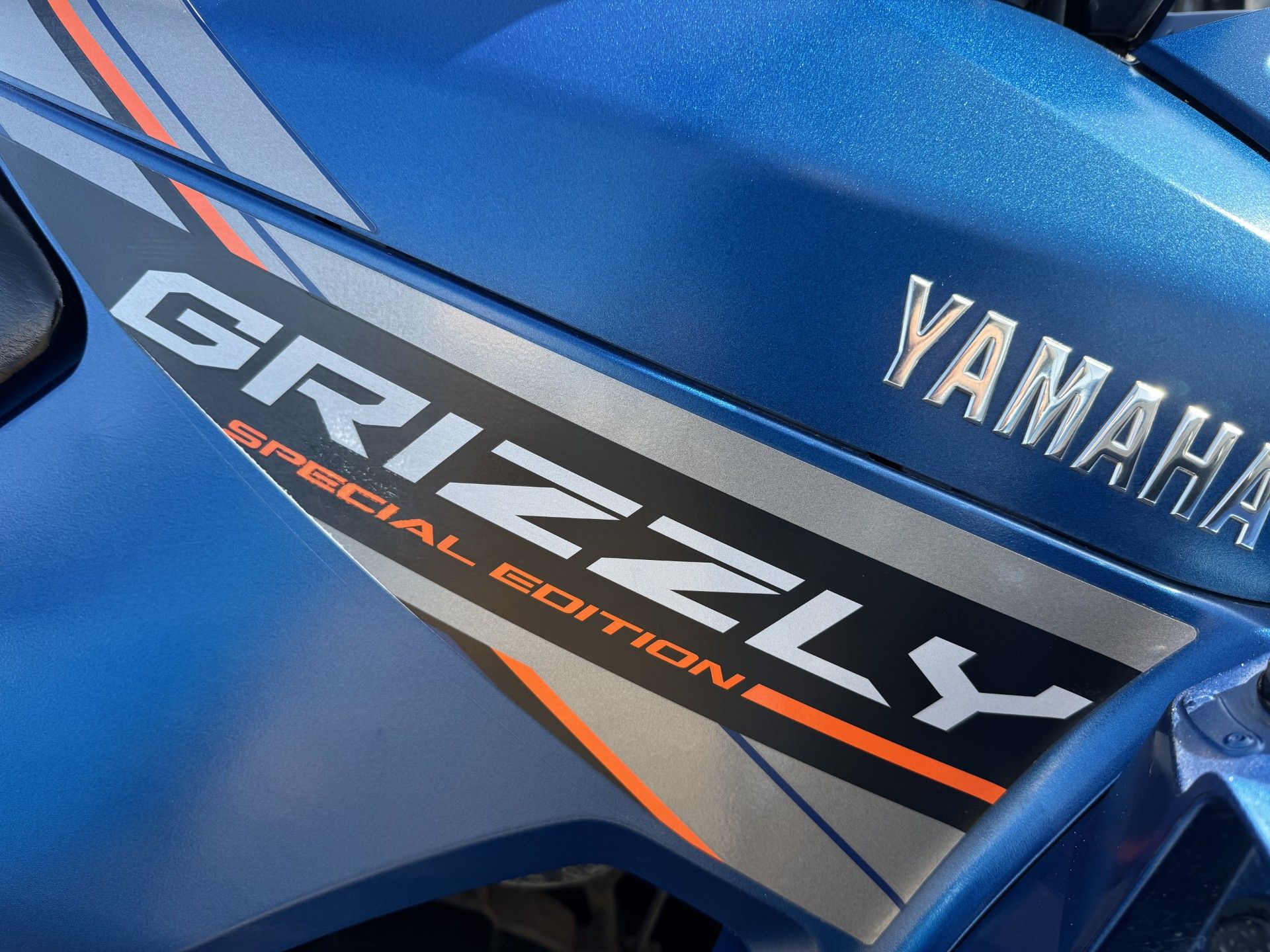 2019 Yamaha Grizzly EPS SE in Topsham, Maine - Photo 10