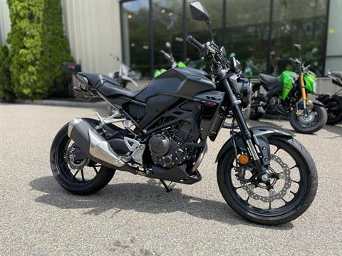 2024 Honda CB300R ABS in Tyngsboro, Massachusetts - Photo 2