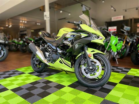 2026 Kawasaki Ninja 500 SE ABS in Tyngsboro, Massachusetts - Photo 5