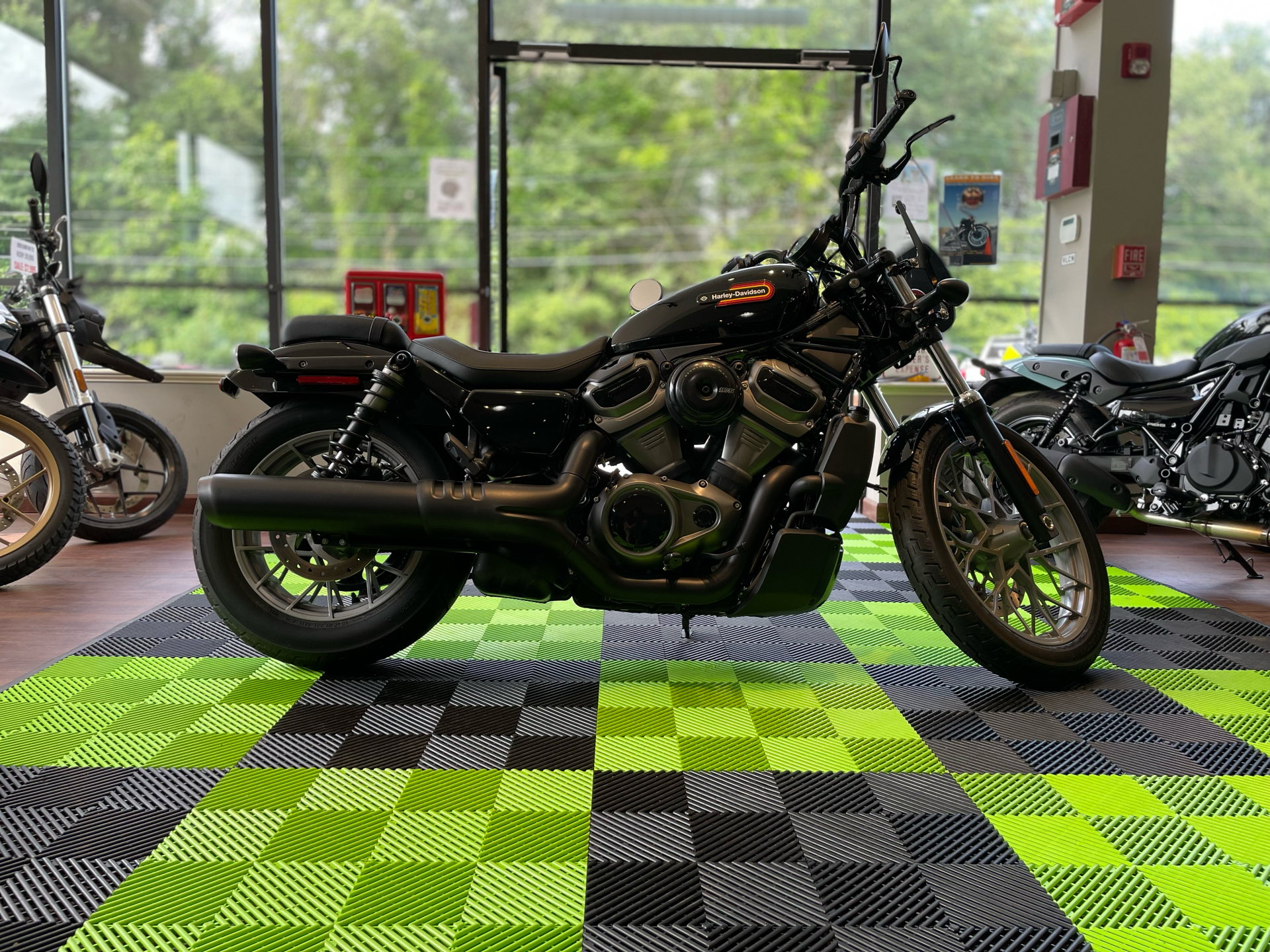 2023 Harley-Davidson Nightster® Special in Tyngsboro, Massachusetts - Photo 1