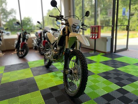 2026 Kawasaki KLX 300 in Tyngsboro, Massachusetts - Photo 16