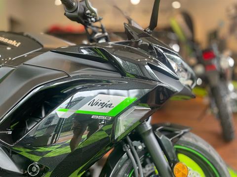 2025 Kawasaki Ninja 650 in Tyngsboro, Massachusetts - Photo 10
