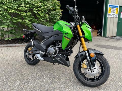 2024 Kawasaki Z125 Pro in Tyngsboro, Massachusetts - Photo 1
