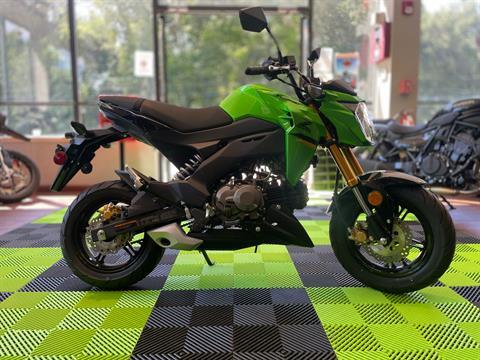 2024 Kawasaki Z125 Pro in Tyngsboro, Massachusetts