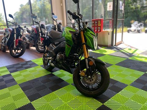 2024 Kawasaki Z125 Pro in Tyngsboro, Massachusetts - Photo 8