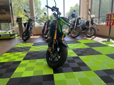2024 Kawasaki Z125 Pro in Tyngsboro, Massachusetts - Photo 10