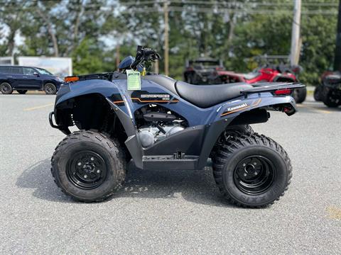 2025 Kawasaki Brute Force 300 in Tyngsboro, Massachusetts - Photo 6