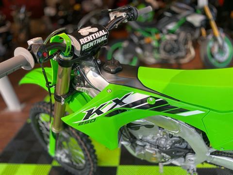 2025 Kawasaki KX 250 in Tyngsboro, Massachusetts - Photo 19