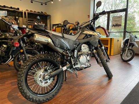 2024 Kawasaki KLX 300 in Tyngsboro, Massachusetts - Photo 11