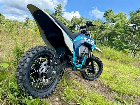 2024 CFMOTO CFX-2E in Northampton, Massachusetts - Photo 3