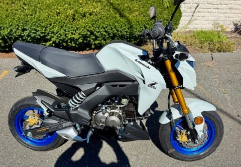 2026 Kawasaki Z125 Pro