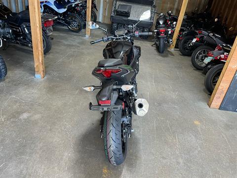 2025 Kawasaki Z500 ABS in Northampton, Massachusetts - Photo 6