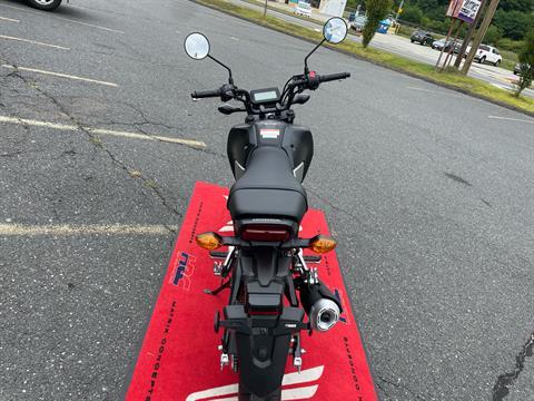 2026 Honda Grom SP in Northampton, Massachusetts - Photo 6