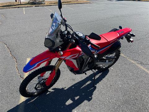 2024 Honda CRF300L Rally in Northampton, Massachusetts - Photo 3