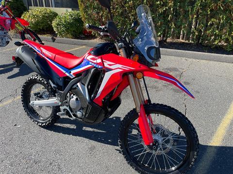 2024 Honda CRF300L Rally in Northampton, Massachusetts - Photo 5
