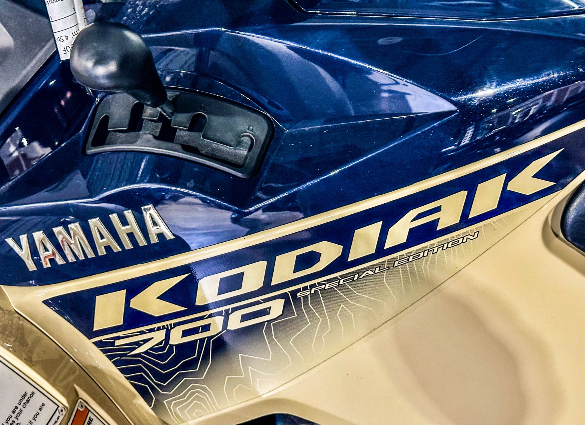 2024 Yamaha Kodiak 700 EPS SE in Northampton, Massachusetts - Photo 4