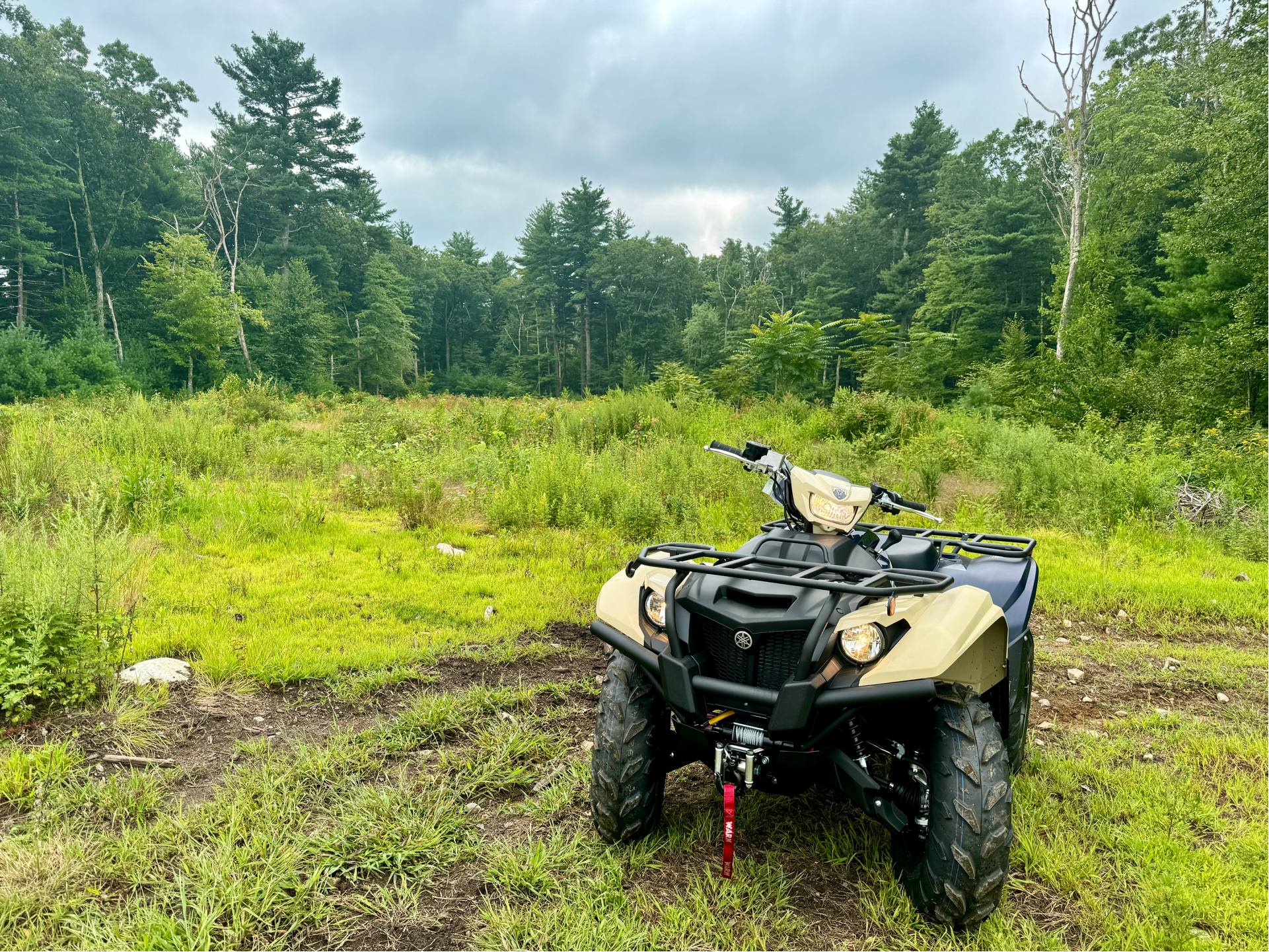 2024 Yamaha Kodiak 700 EPS SE in Northampton, Massachusetts - Photo 16