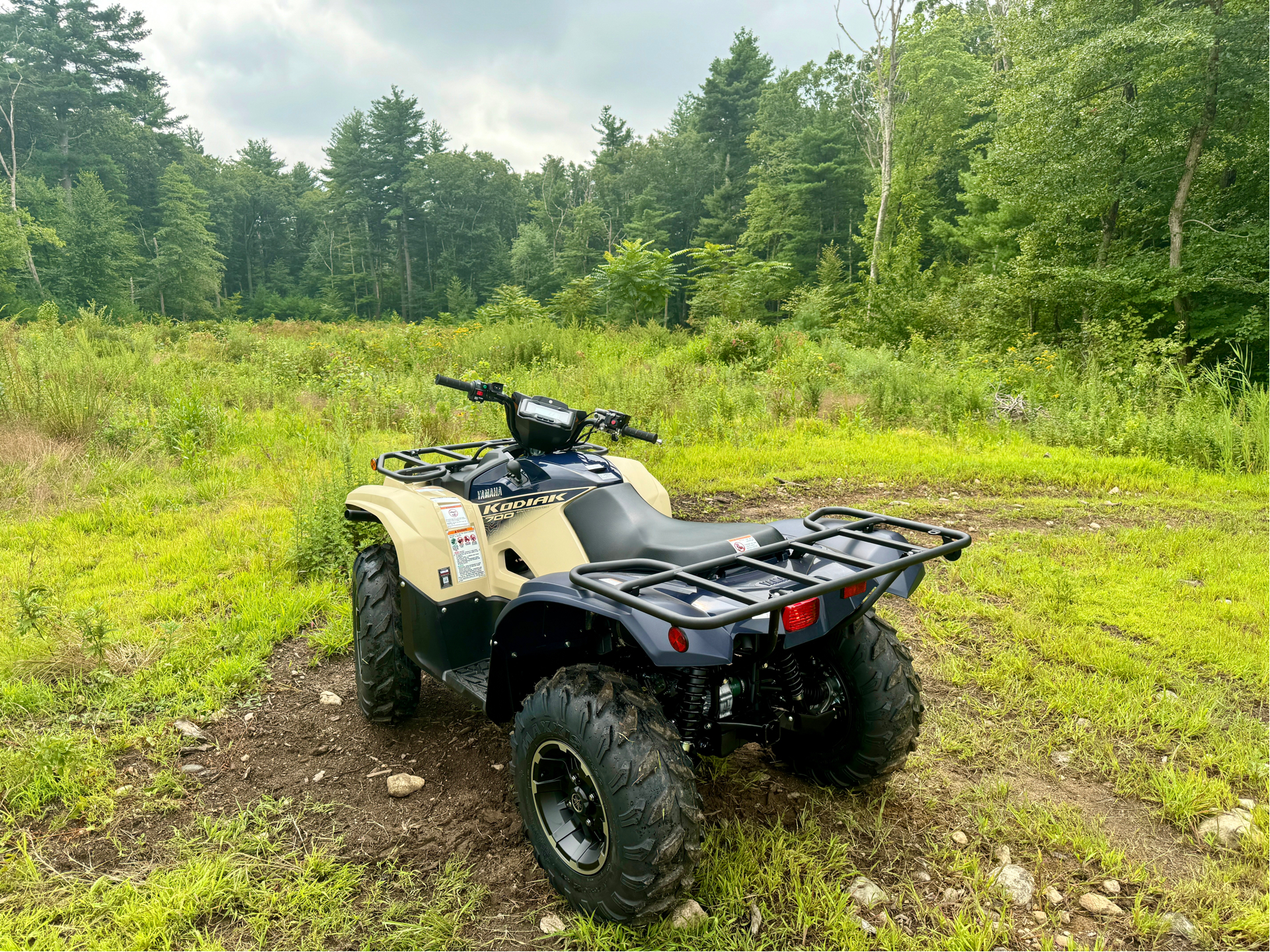 2024 Yamaha Kodiak 700 EPS SE in Northampton, Massachusetts - Photo 24
