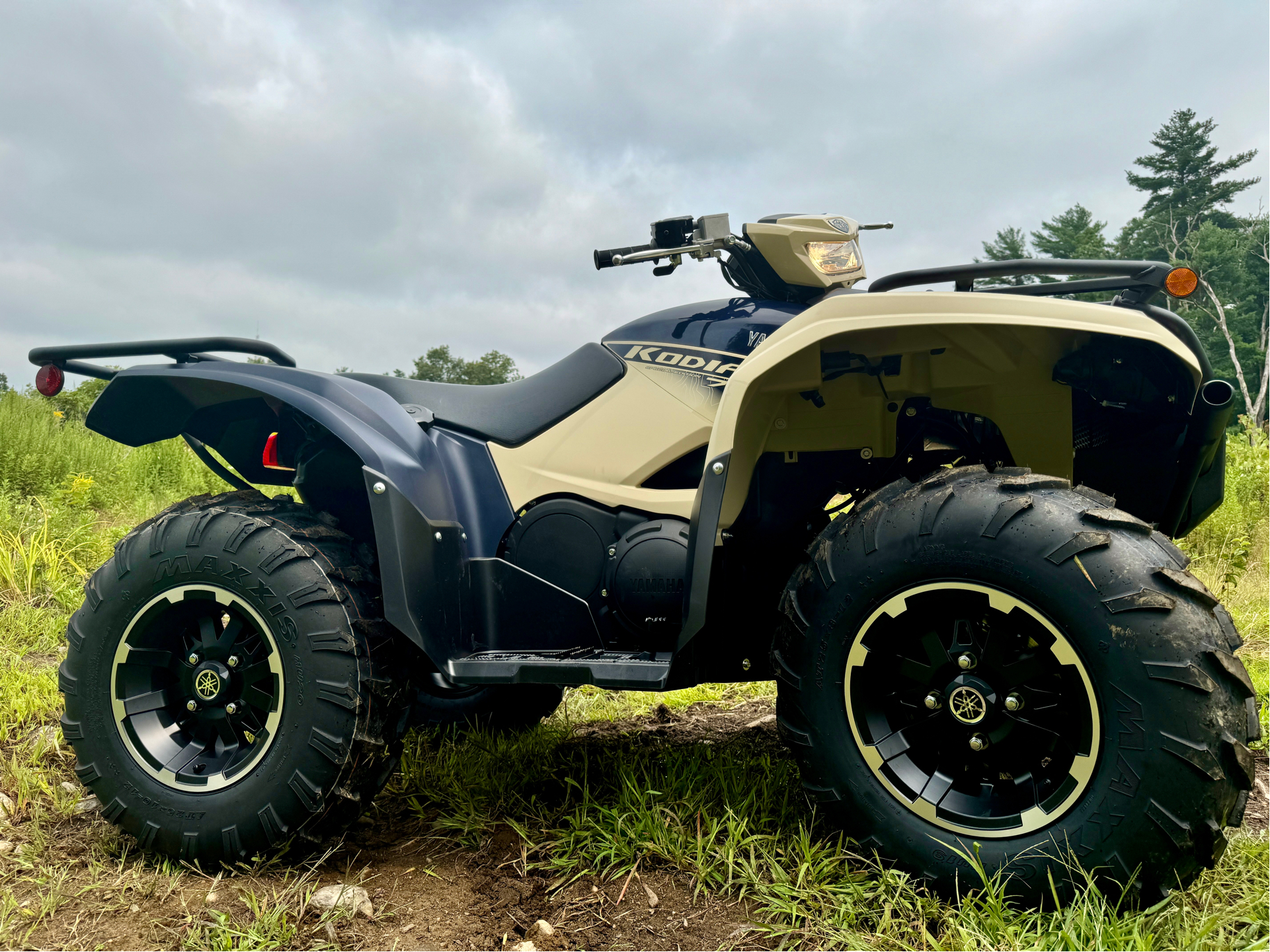 2024 Yamaha Kodiak 700 EPS SE in Northampton, Massachusetts - Photo 7