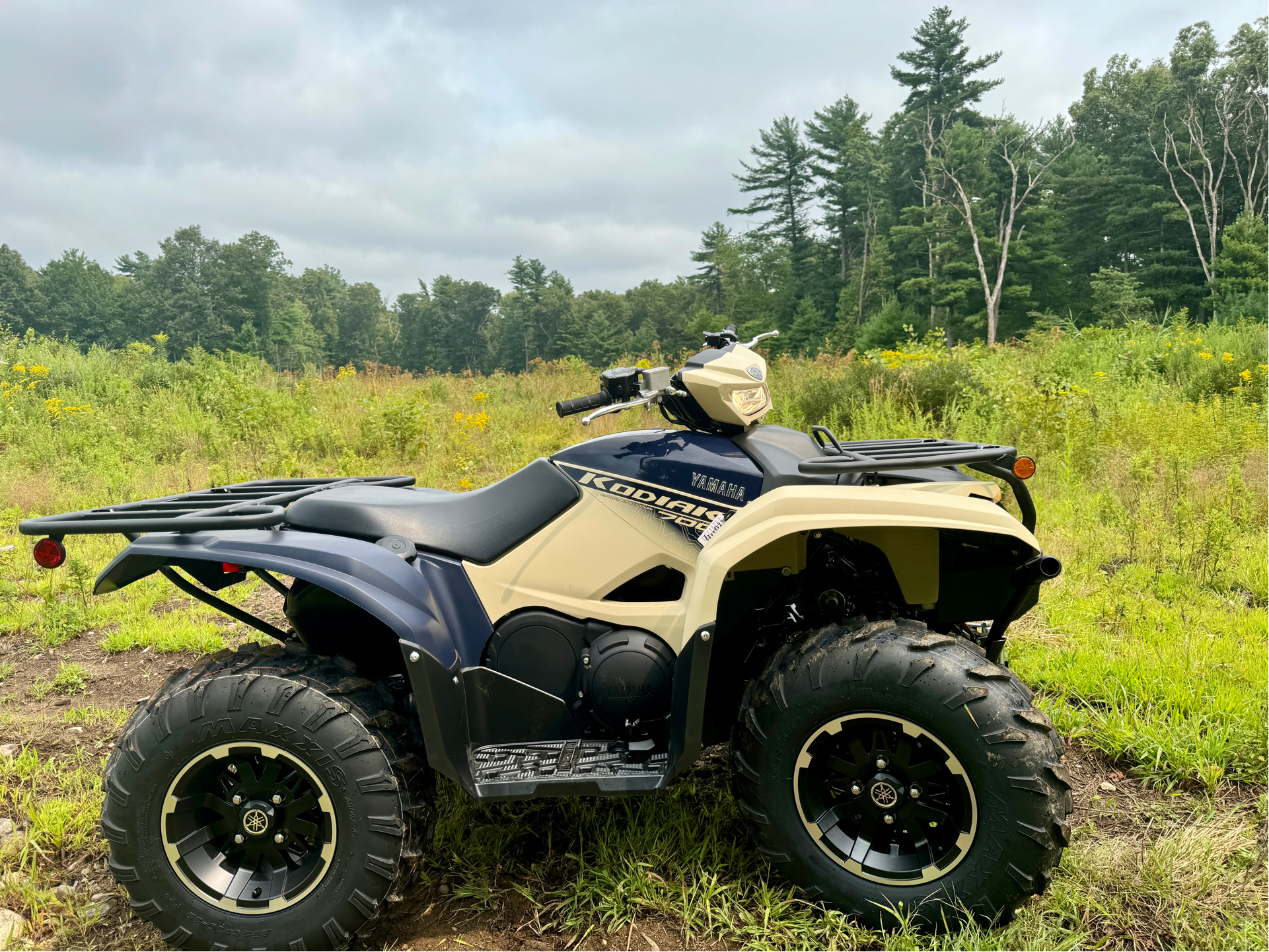 2024 Yamaha Kodiak 700 EPS SE in Northampton, Massachusetts - Photo 22