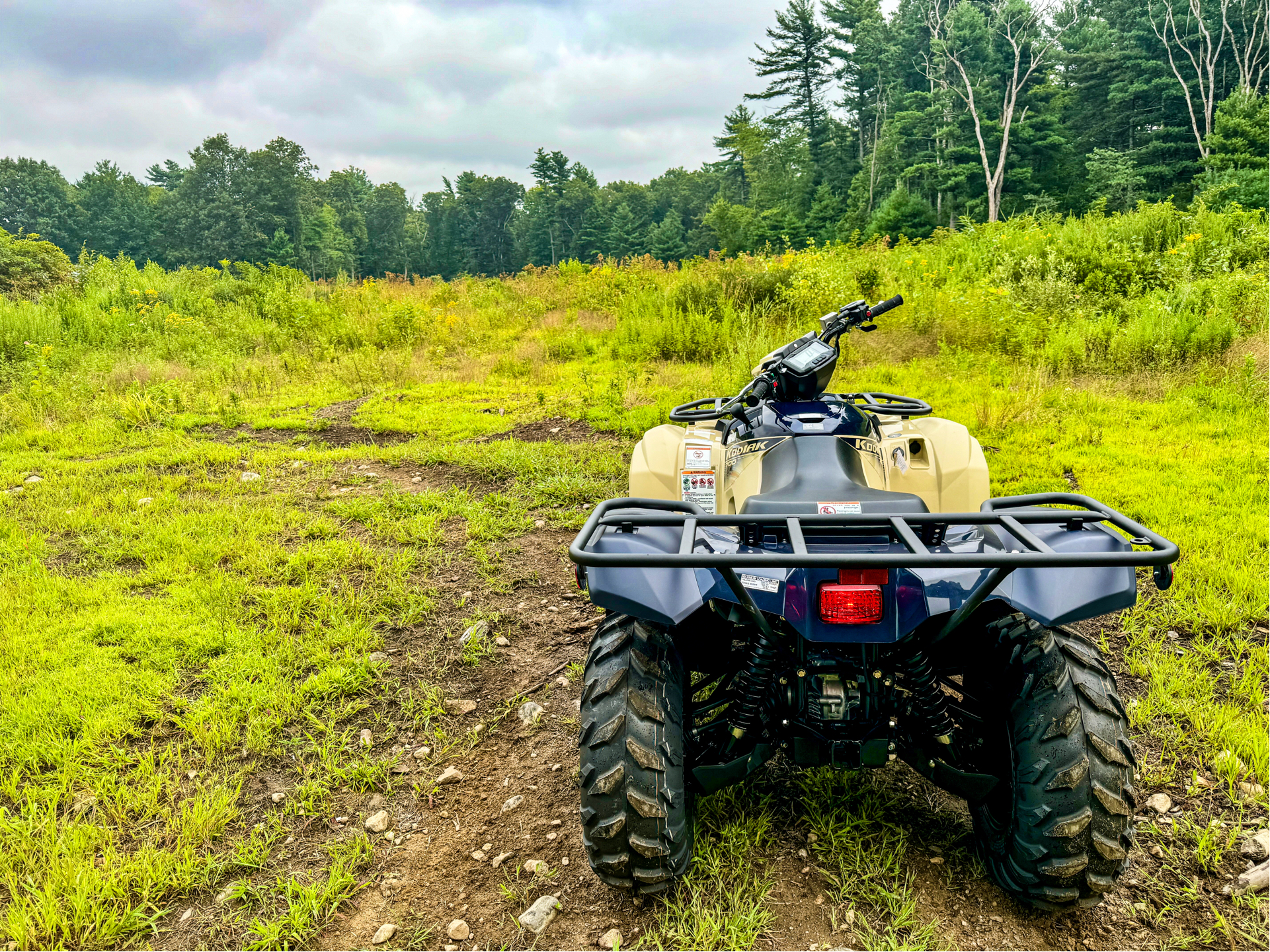 2024 Yamaha Kodiak 700 EPS SE in Northampton, Massachusetts - Photo 34