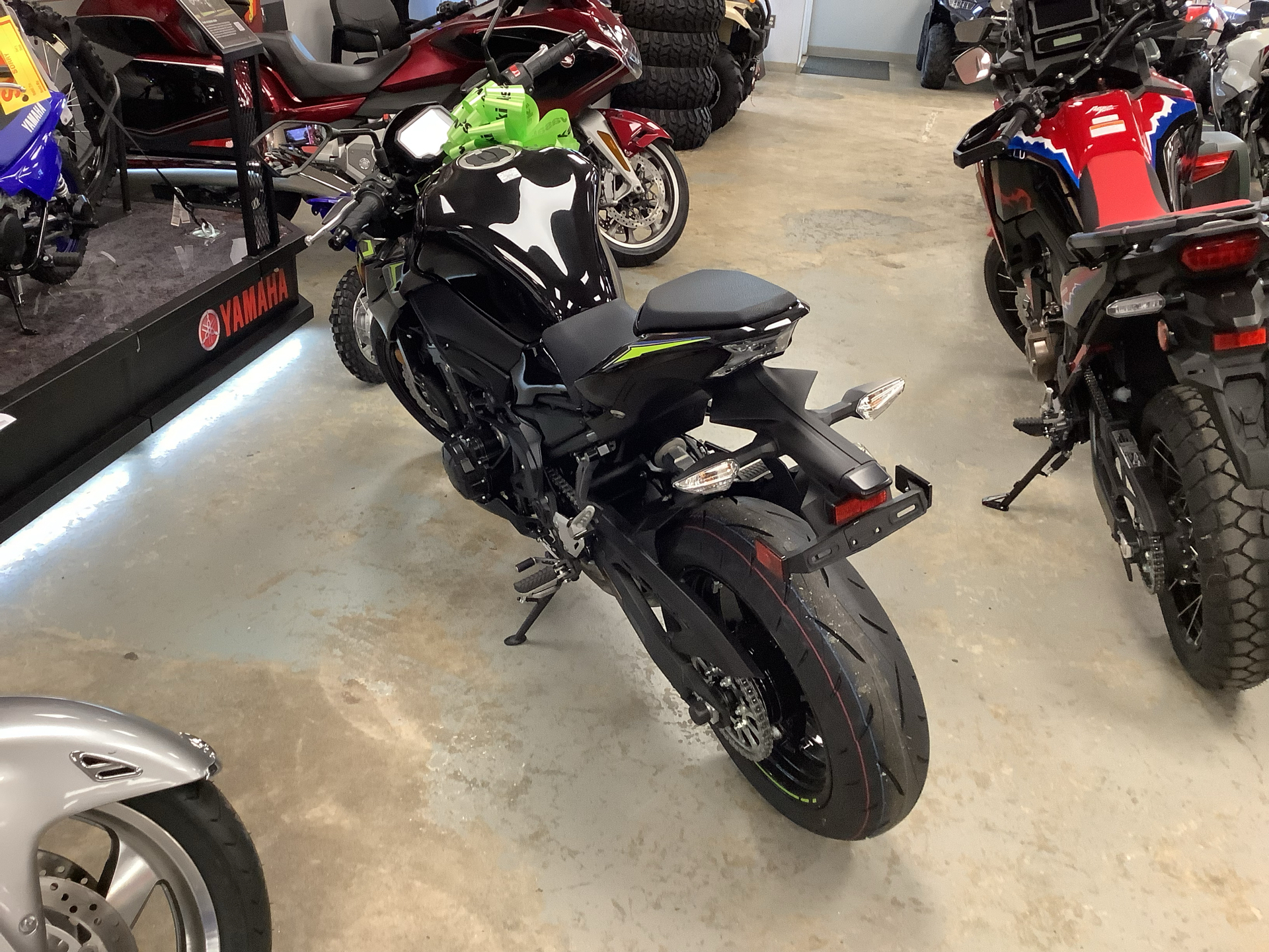 2024 Kawasaki Z900 ABS in Northampton, Massachusetts - Photo 3