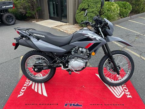 2025 Honda XR150L in Northampton, Massachusetts - Photo 2