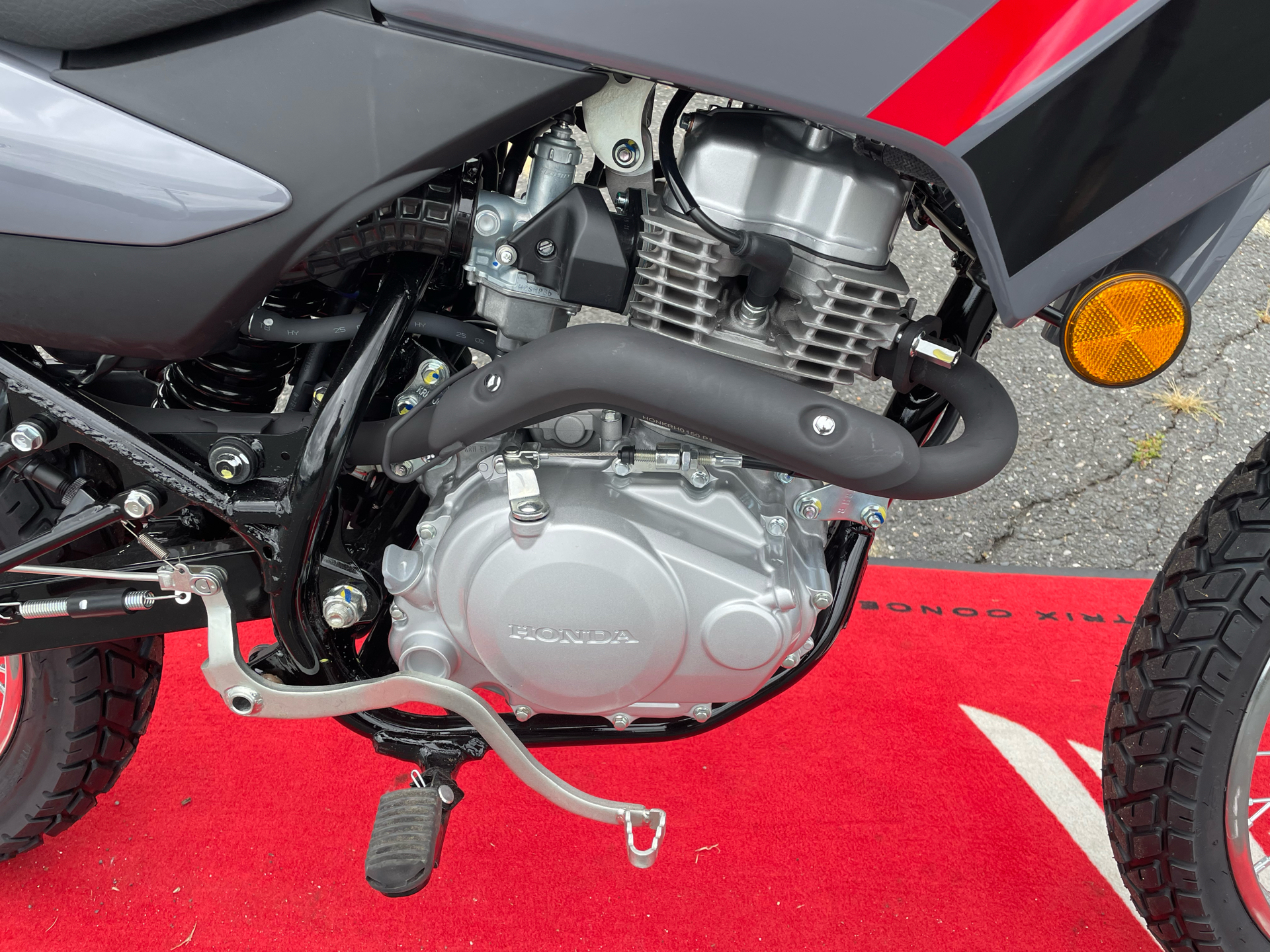 2025 Honda XR150L in Northampton, Massachusetts - Photo 3