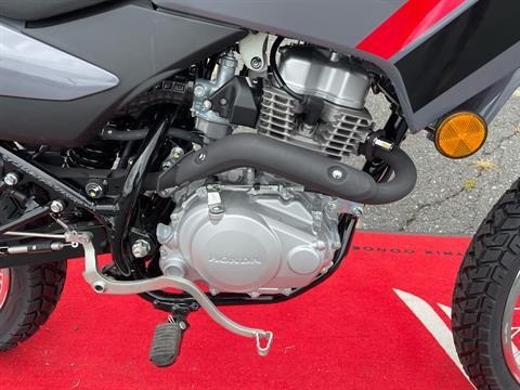 2025 Honda XR150L in Northampton, Massachusetts - Photo 3