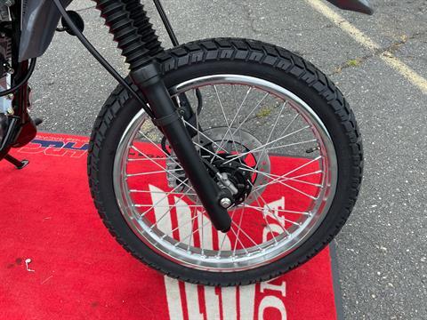 2025 Honda XR150L in Northampton, Massachusetts - Photo 4