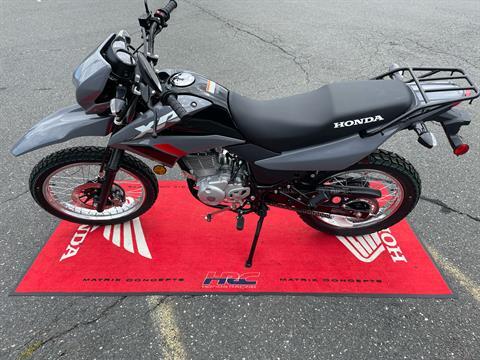 2025 Honda XR150L in Northampton, Massachusetts - Photo 6