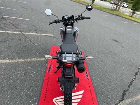2025 Honda XR150L in Northampton, Massachusetts - Photo 7