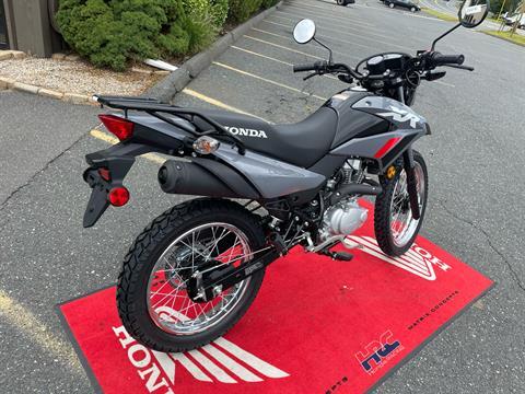 2025 Honda XR150L in Northampton, Massachusetts - Photo 8