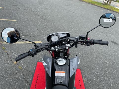 2025 Honda XR150L in Northampton, Massachusetts - Photo 9