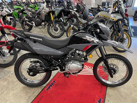 2025 Honda XR150L in Northampton, Massachusetts - Photo 1