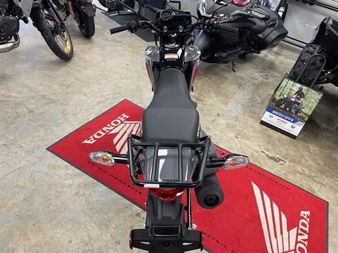 2025 Honda XR150L in Northampton, Massachusetts - Photo 2