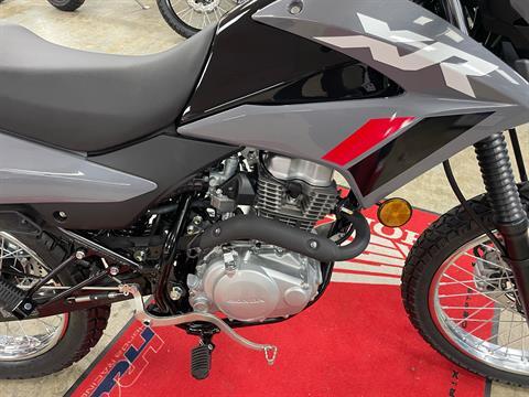 2025 Honda XR150L in Northampton, Massachusetts - Photo 3