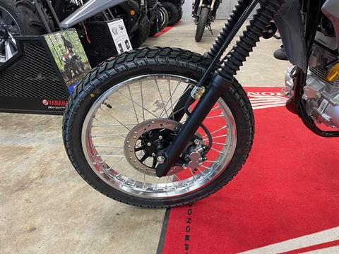 2025 Honda XR150L in Northampton, Massachusetts - Photo 4