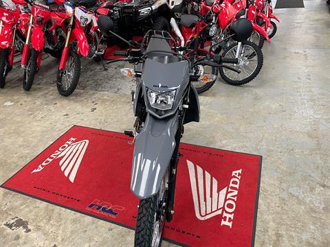 2025 Honda XR150L in Northampton, Massachusetts - Photo 5