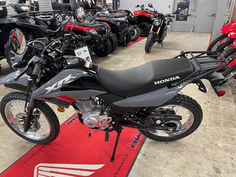 2025 Honda XR150L in Northampton, Massachusetts - Photo 6
