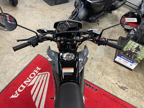 2025 Honda XR150L in Northampton, Massachusetts - Photo 7