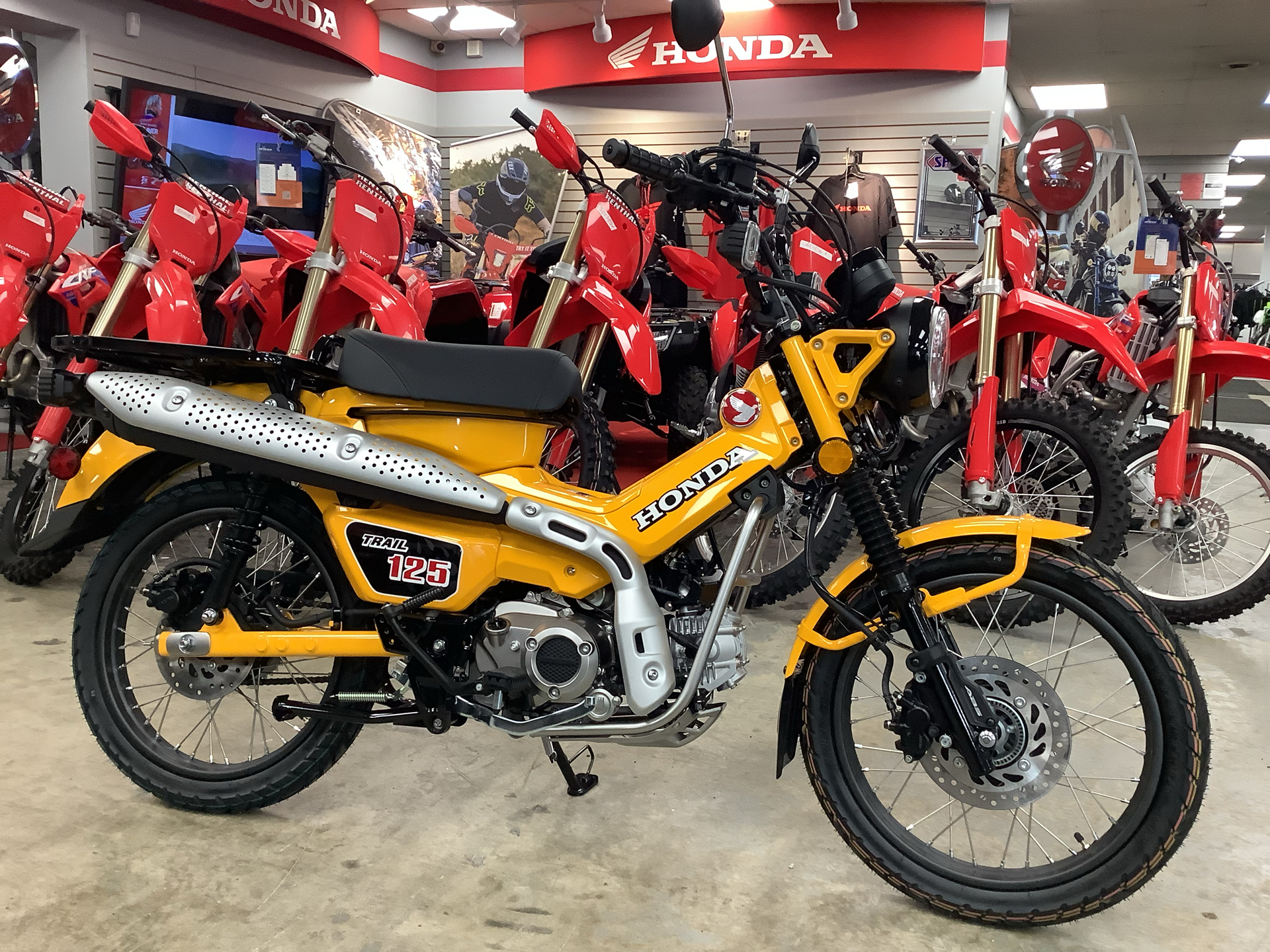 2024 Honda Trail125 in Northampton, Massachusetts - Photo 1
