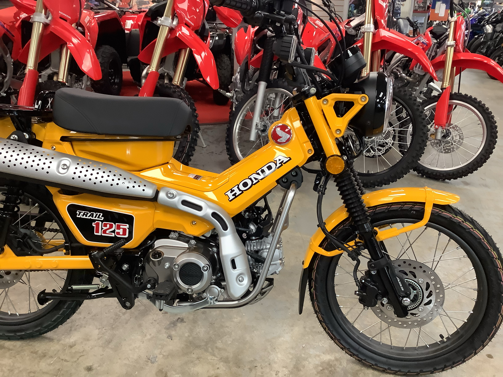 2024 Honda Trail125 in Northampton, Massachusetts - Photo 2