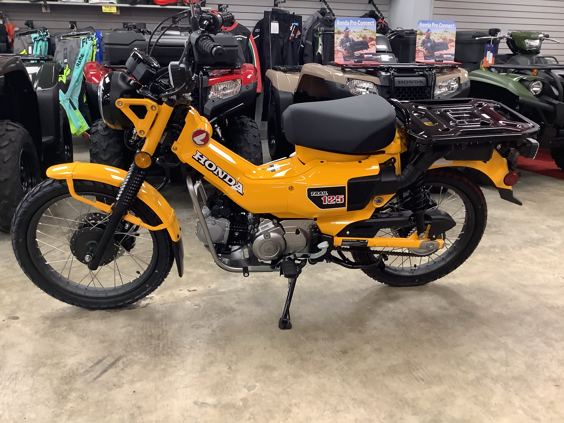 2024 Honda Trail125 in Northampton, Massachusetts - Photo 8