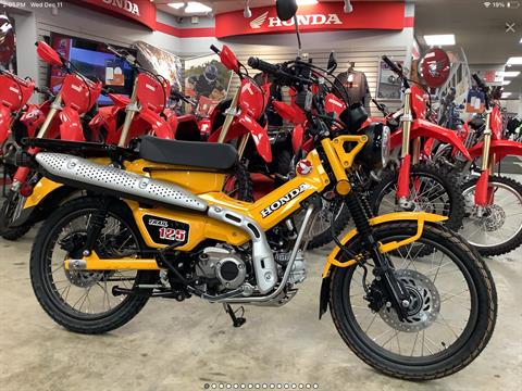 2024 Honda Trail125 in Northampton, Massachusetts - Photo 1