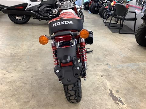 2024 Honda Monkey ABS in Northampton, Massachusetts - Photo 13
