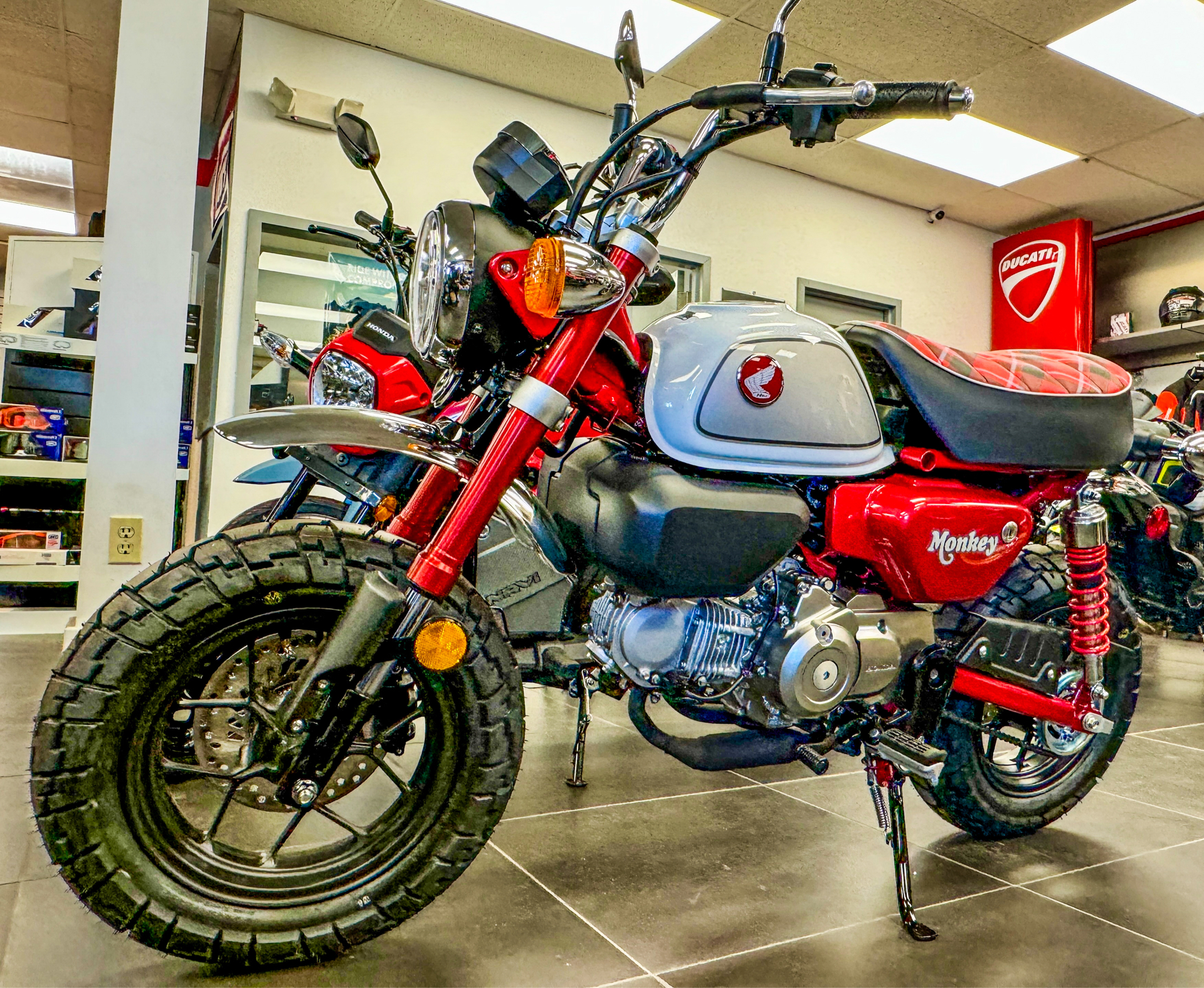 2024 Honda Monkey ABS in Northampton, Massachusetts - Photo 1