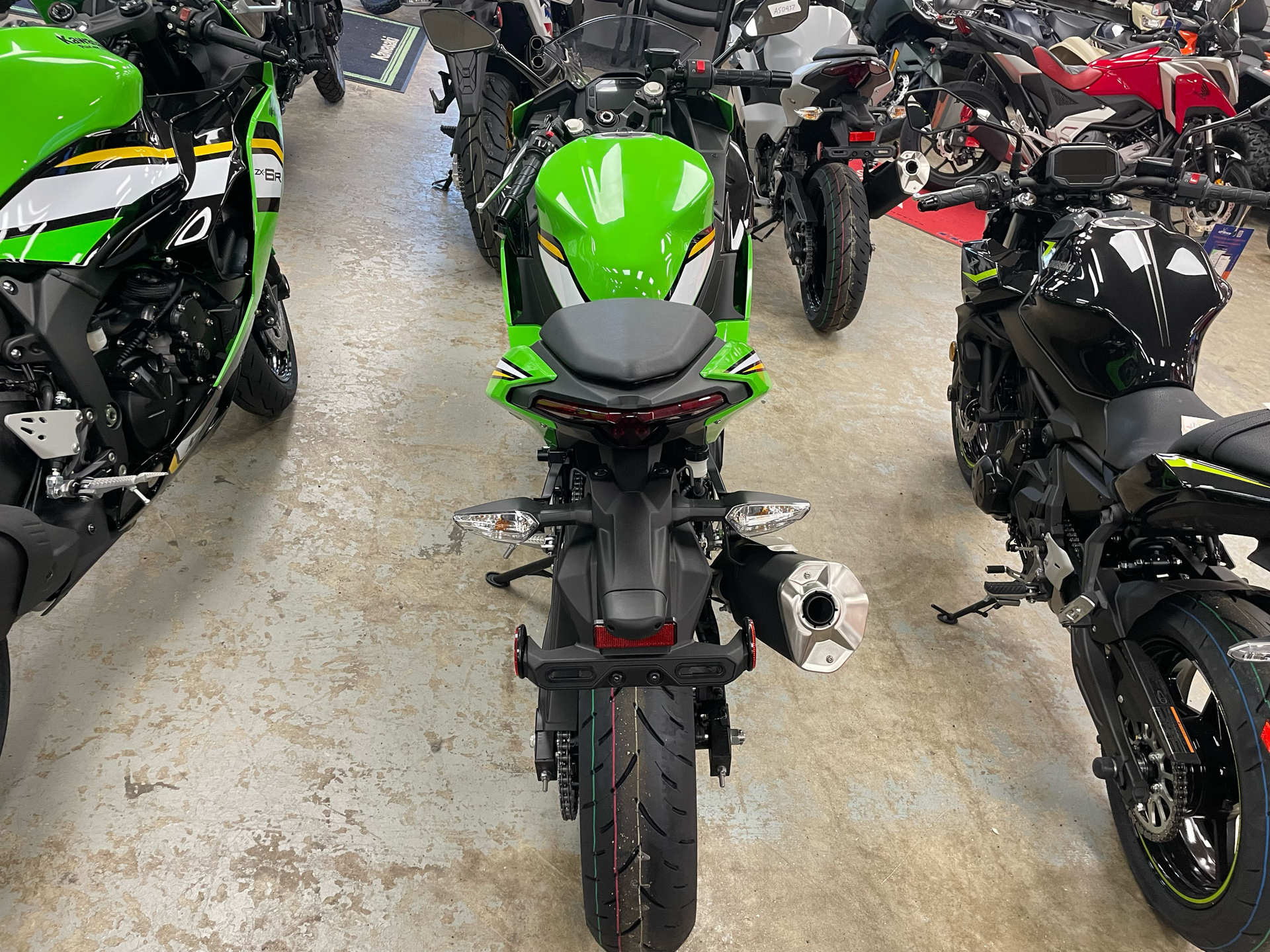 2025 Kawasaki Ninja 500 KRT Edition in Northampton, Massachusetts - Photo 4